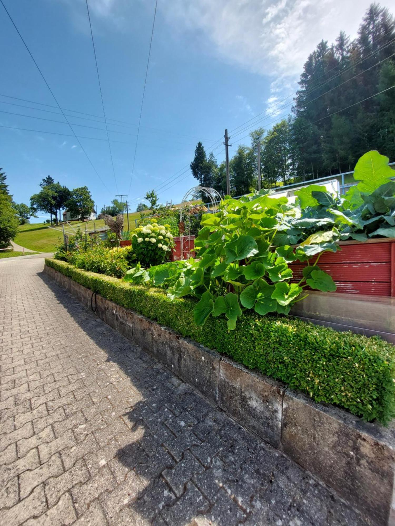 Ferienwohnung Siggi Hardt  Exteriör bild